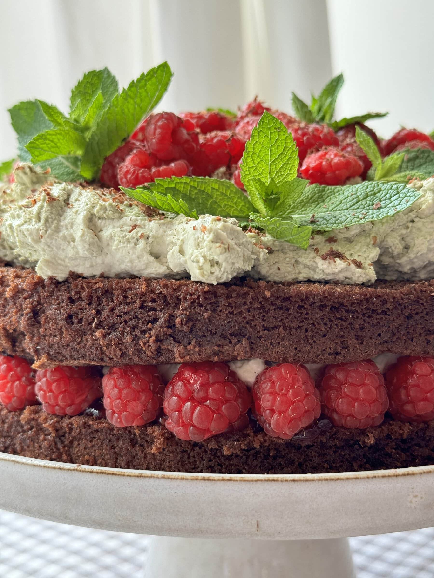 close up of chocolate raspberry cake