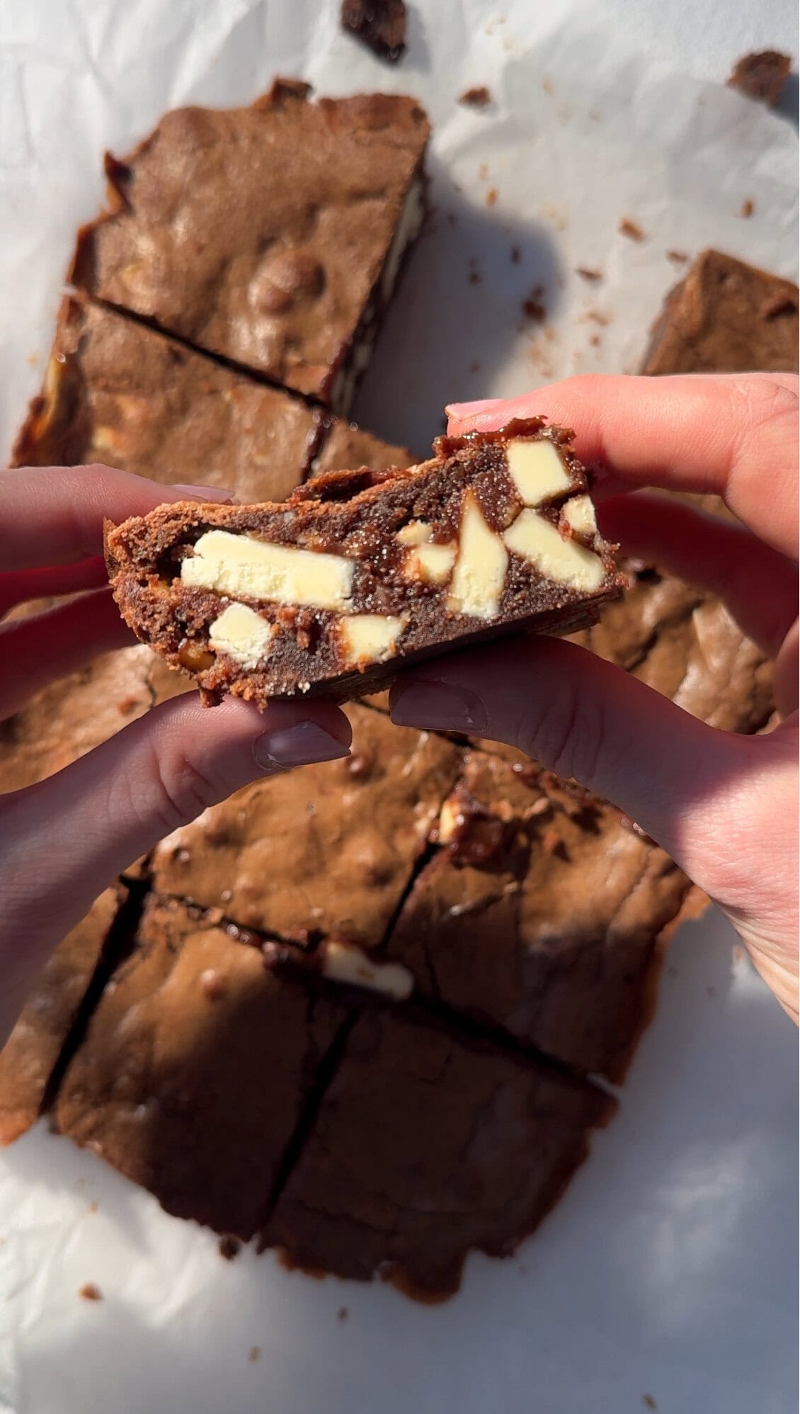 woman holding a brownie in her hands with large white chocolate chunks.