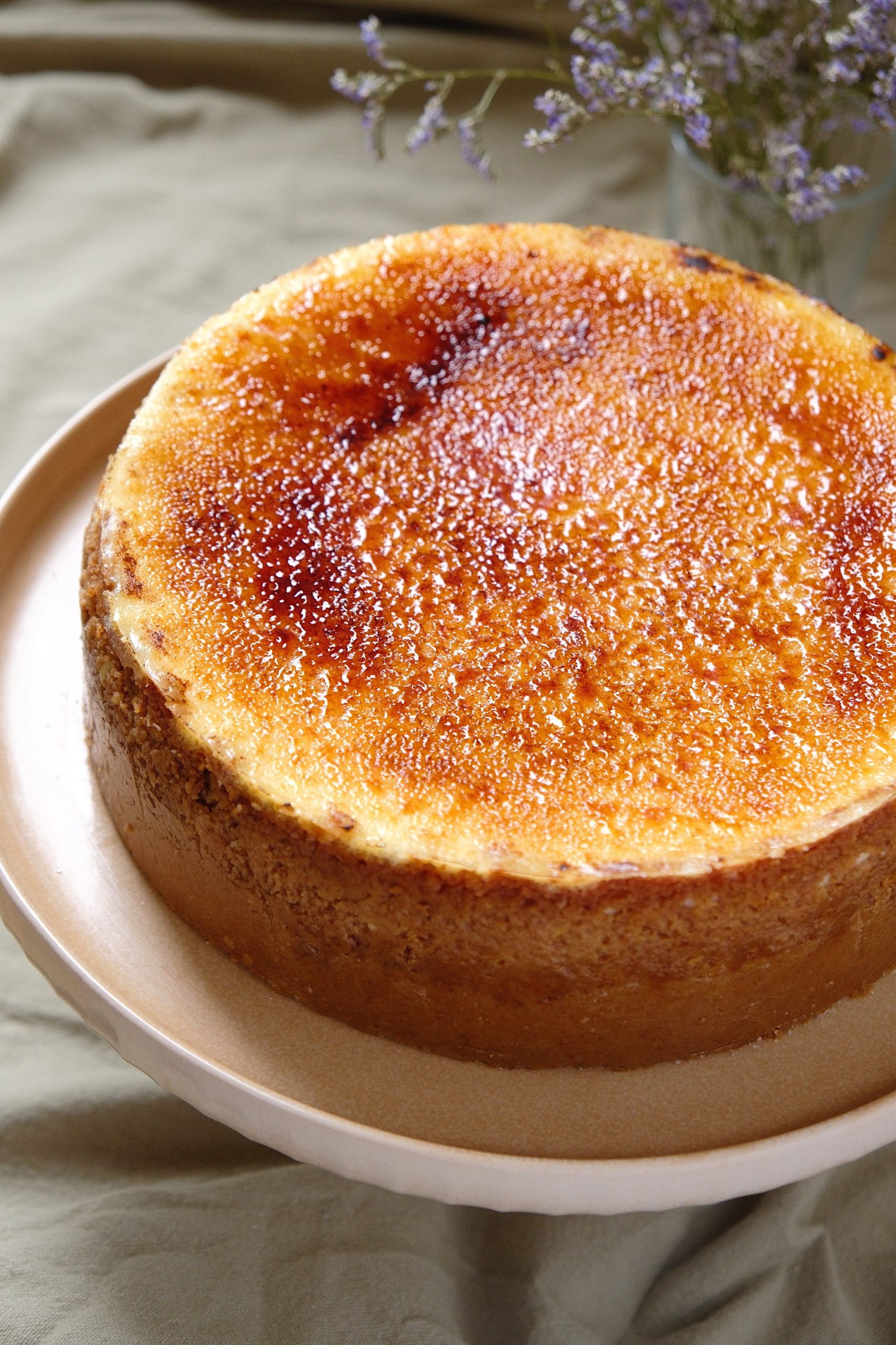 creme brulee cheesecake on pink plate