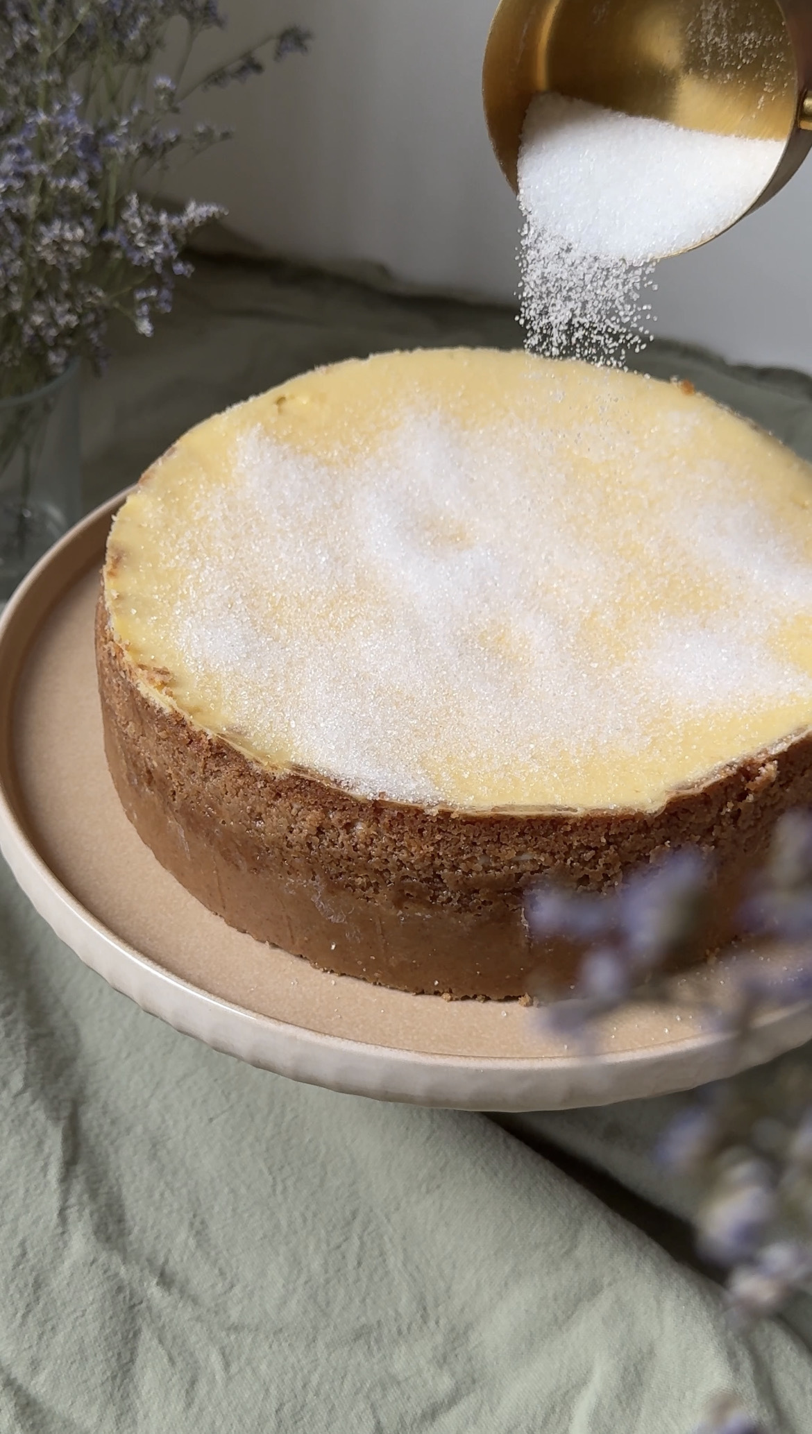 sprinkling sugar on the top of creme brulee cheesecake