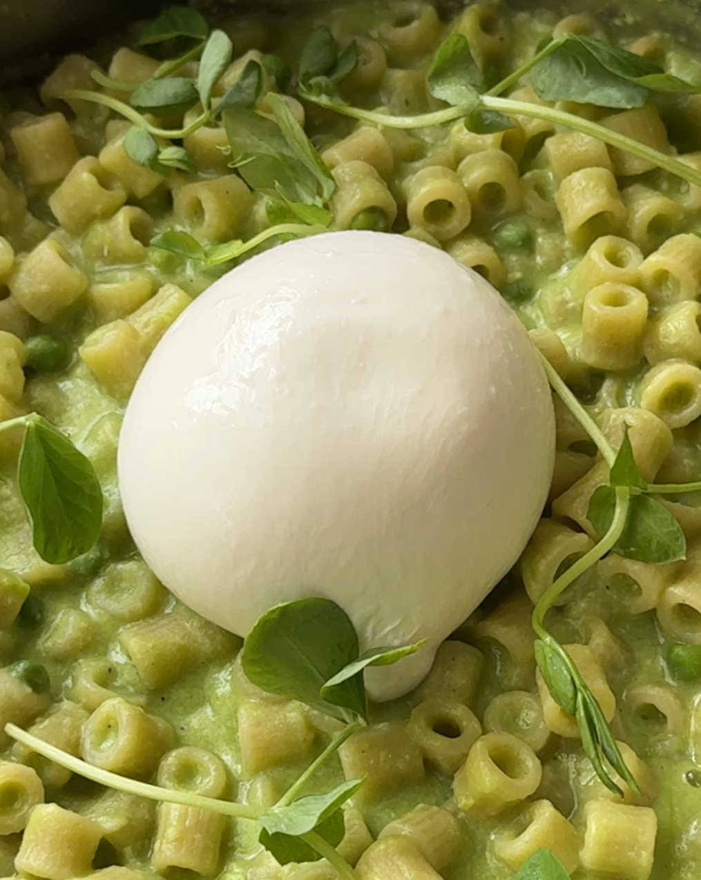 burrata with pasta and peas