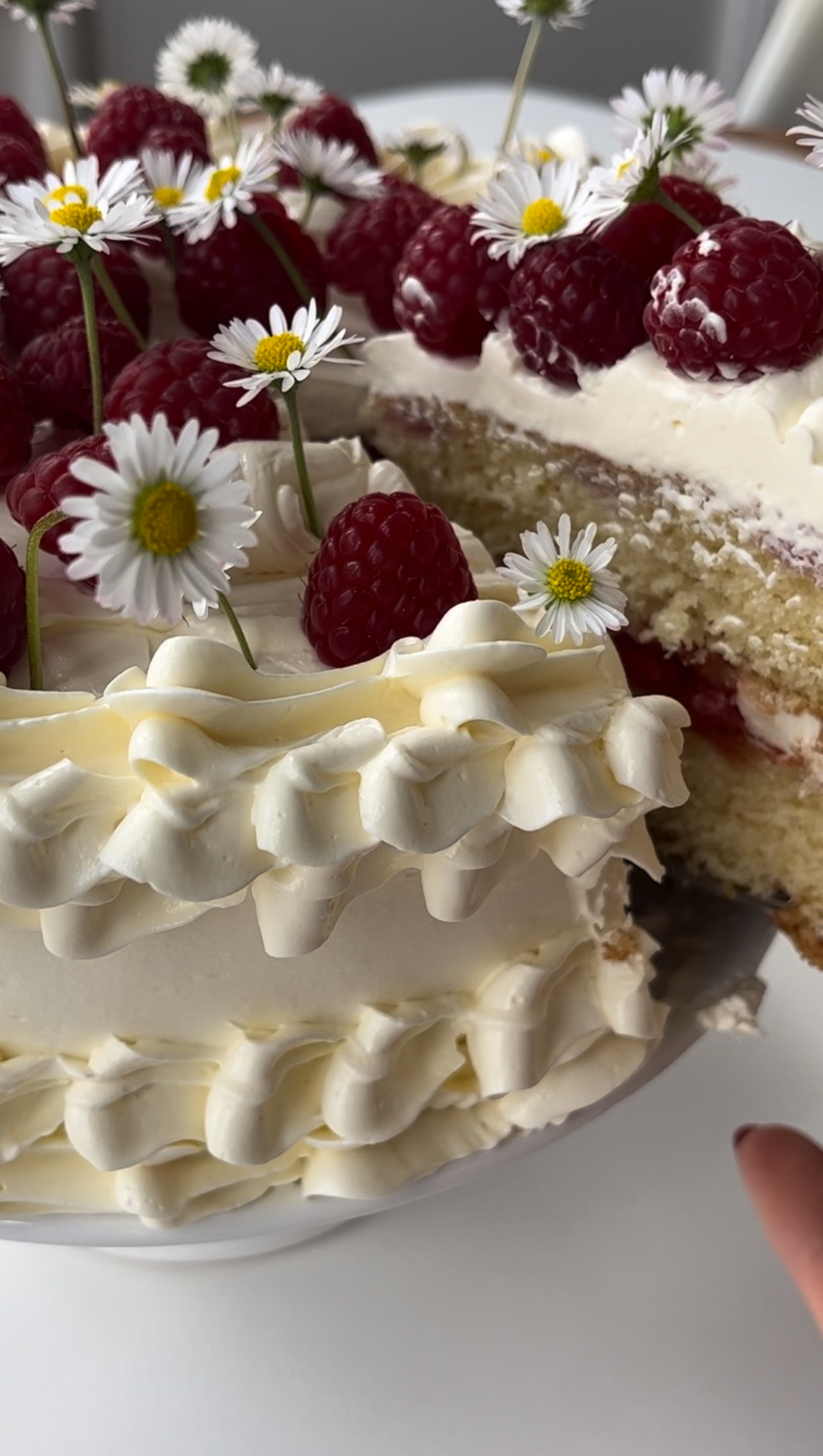 WHITE CHOCOLATE AND RASPBERRY CAKE (4)