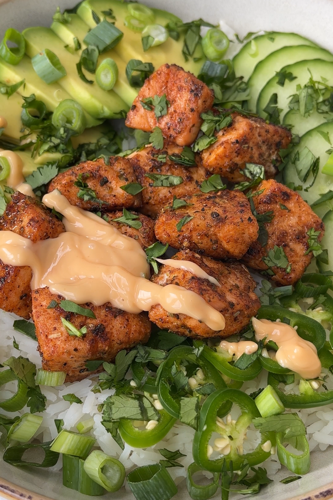 plate up the spicy salmon bowl