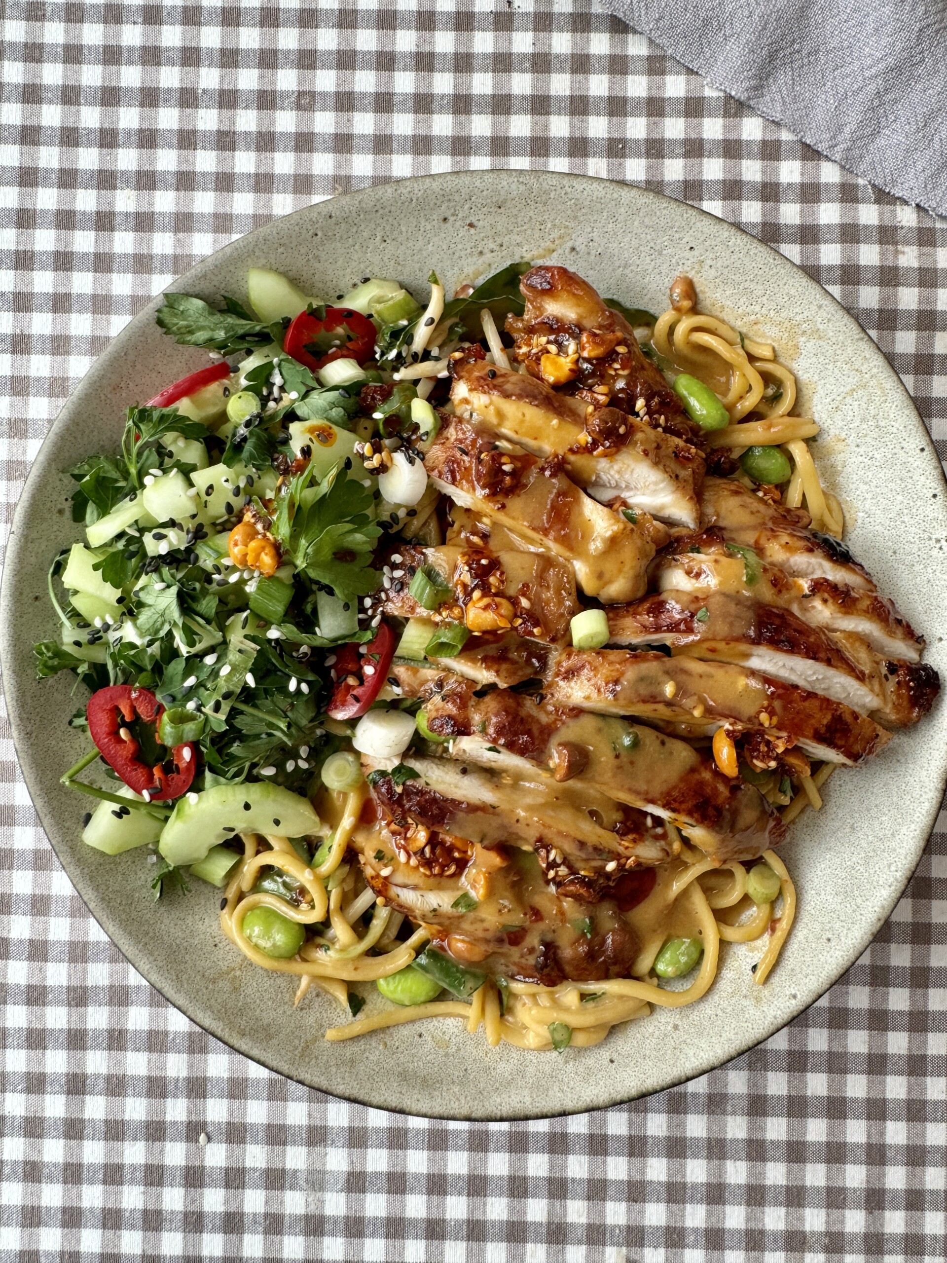 chicken noodle bowl with gingham tablecloth