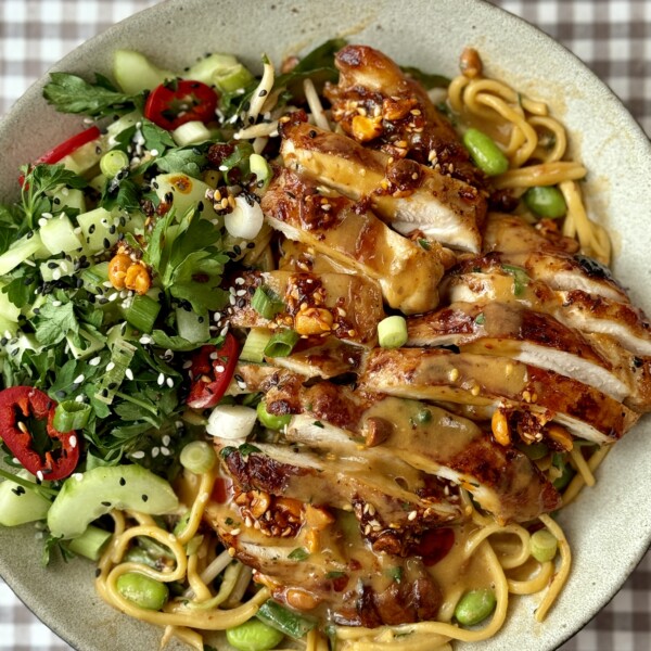 chicken noodle bowl with gingham tablecloth