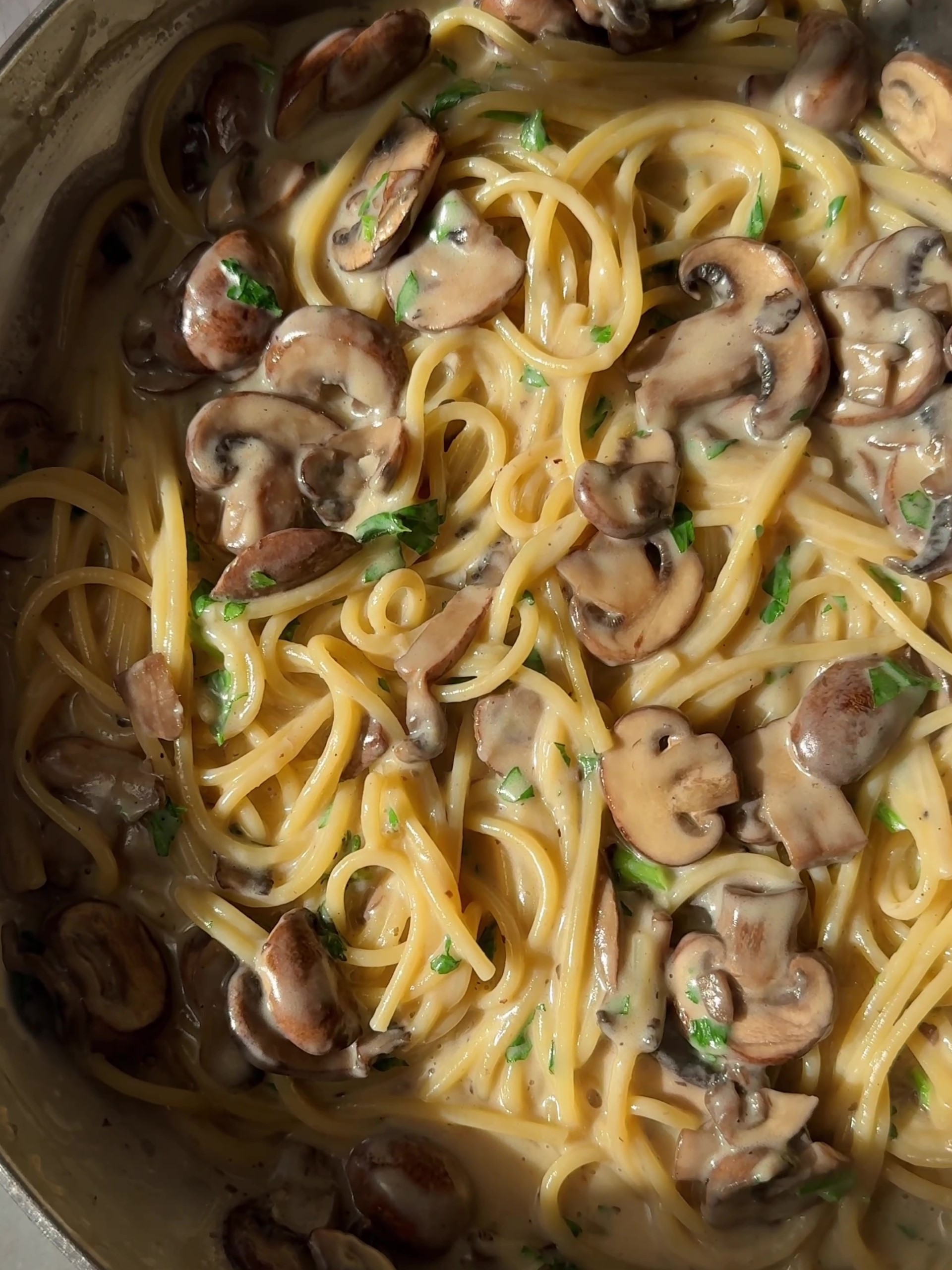 Creamy Mushroom Pasta in a pan