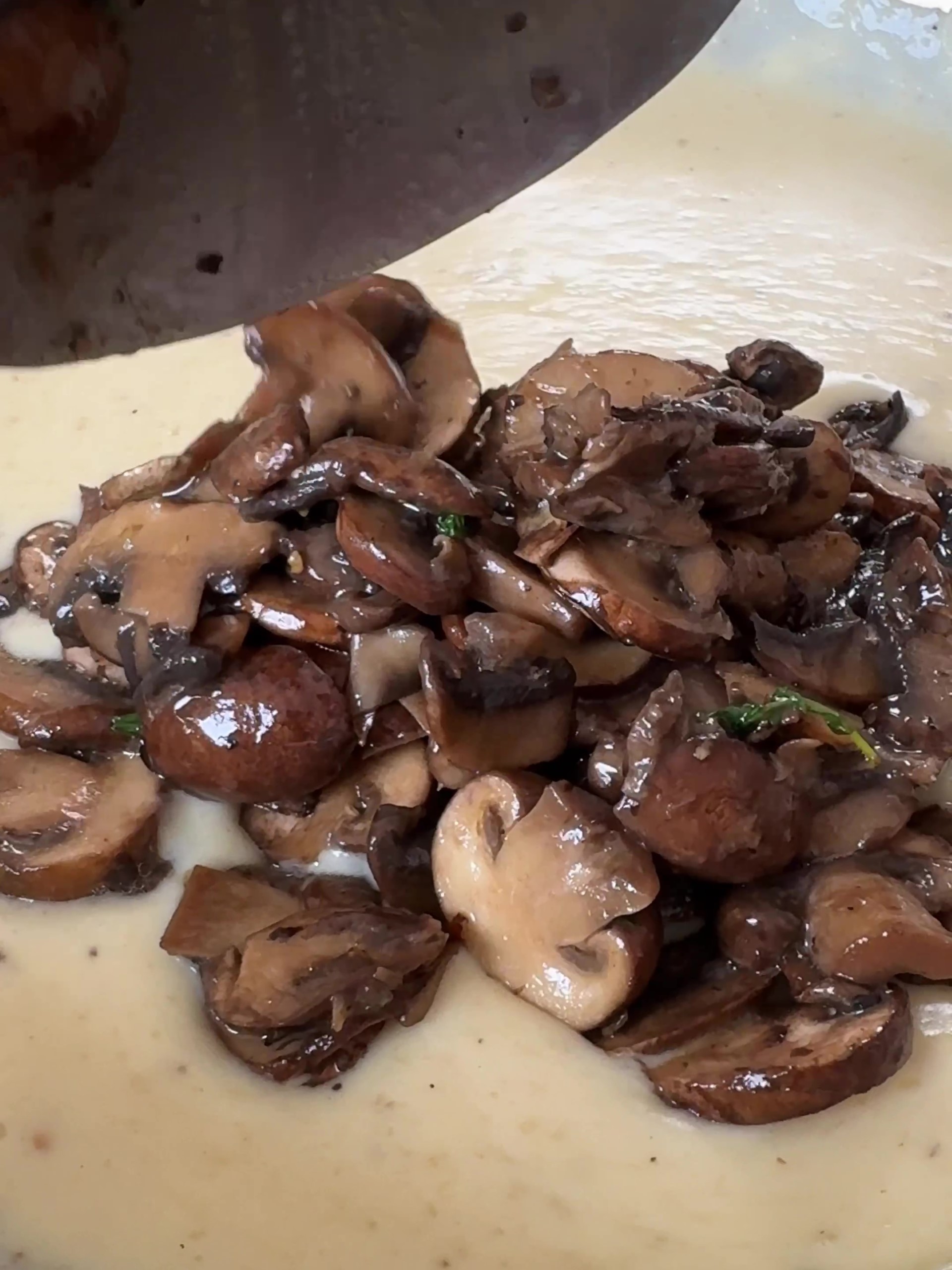 Adding mushrooms to the creamy sauce