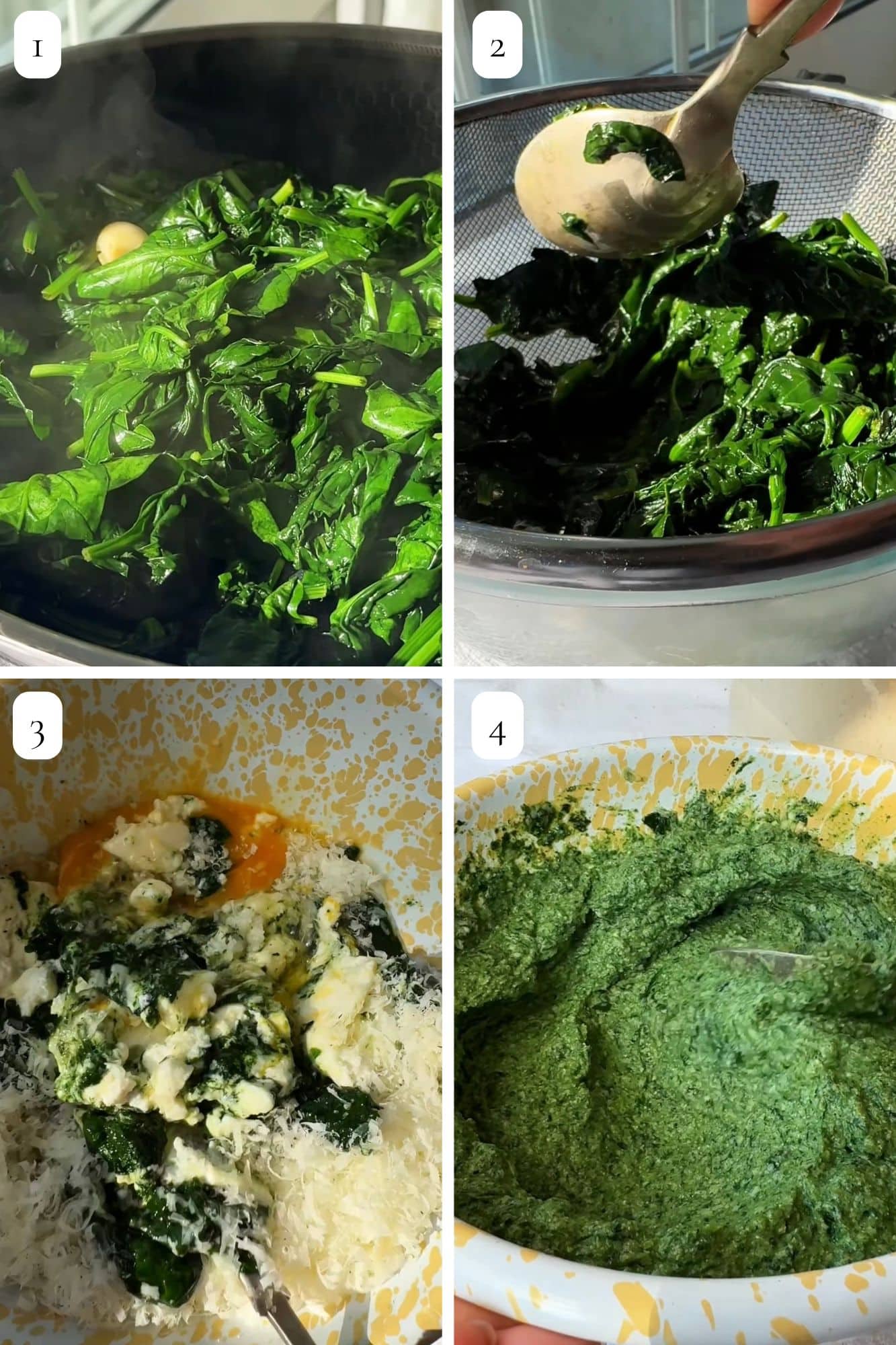 torta pasqualina step by step guide.