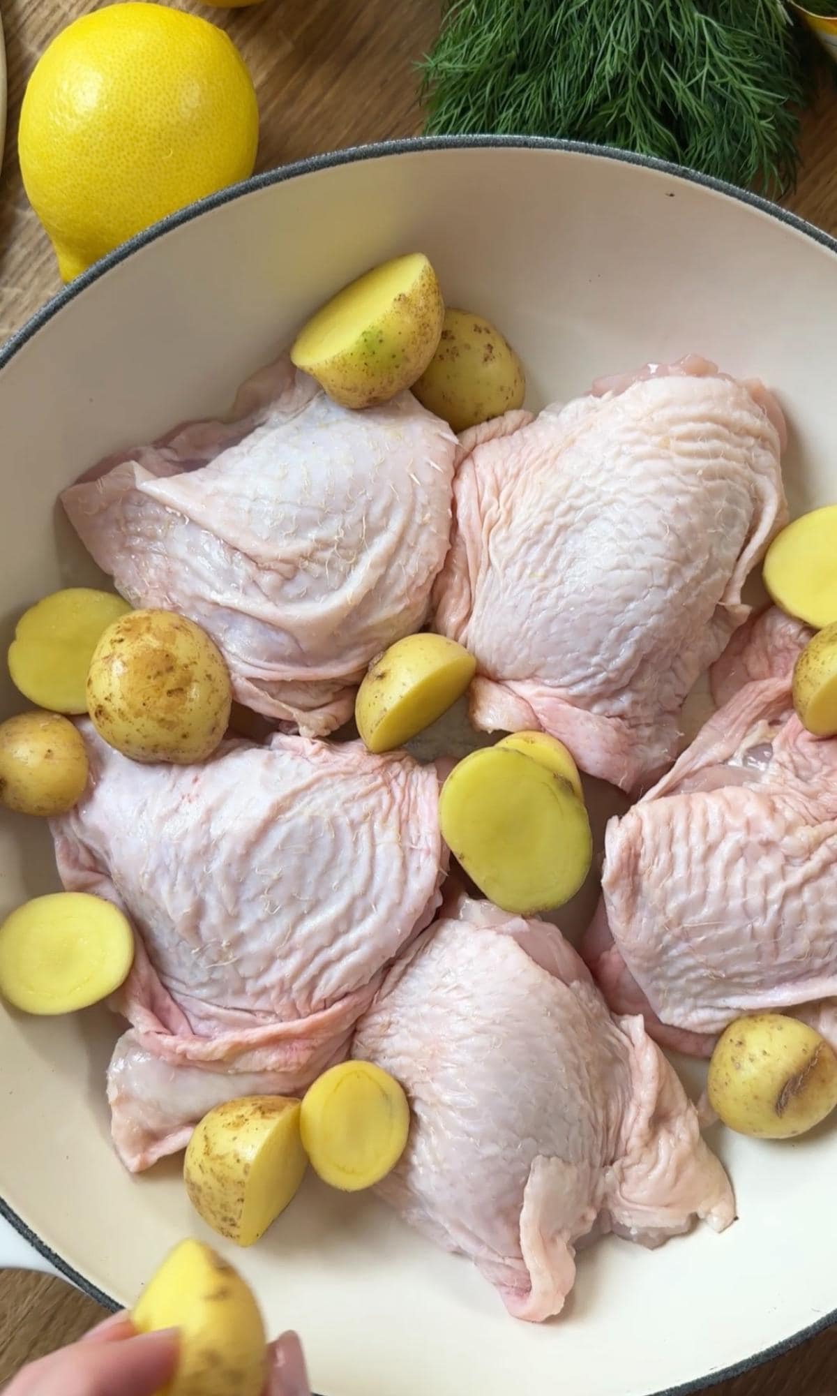 adding greek chicken to a tray.