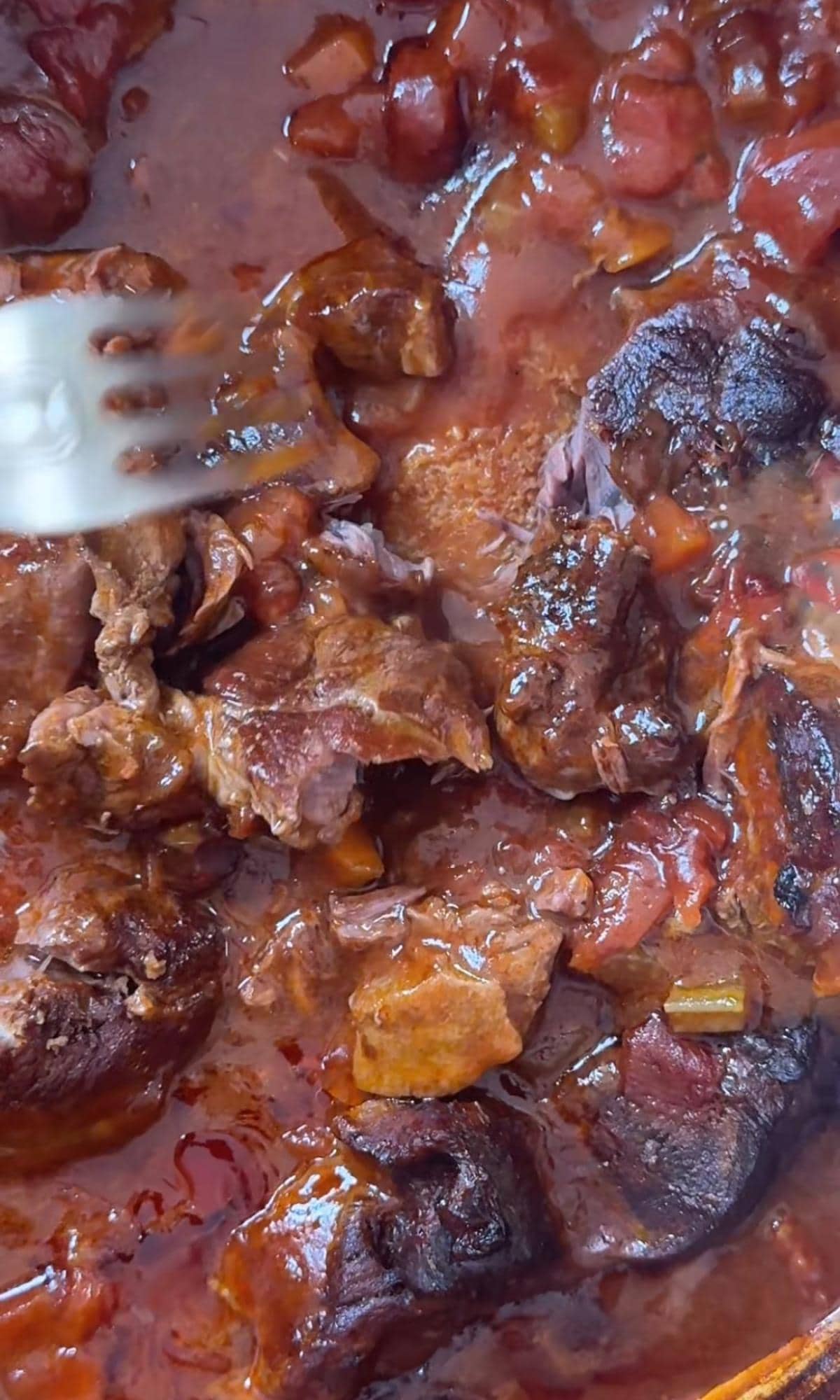 shredding beef shin ragu.