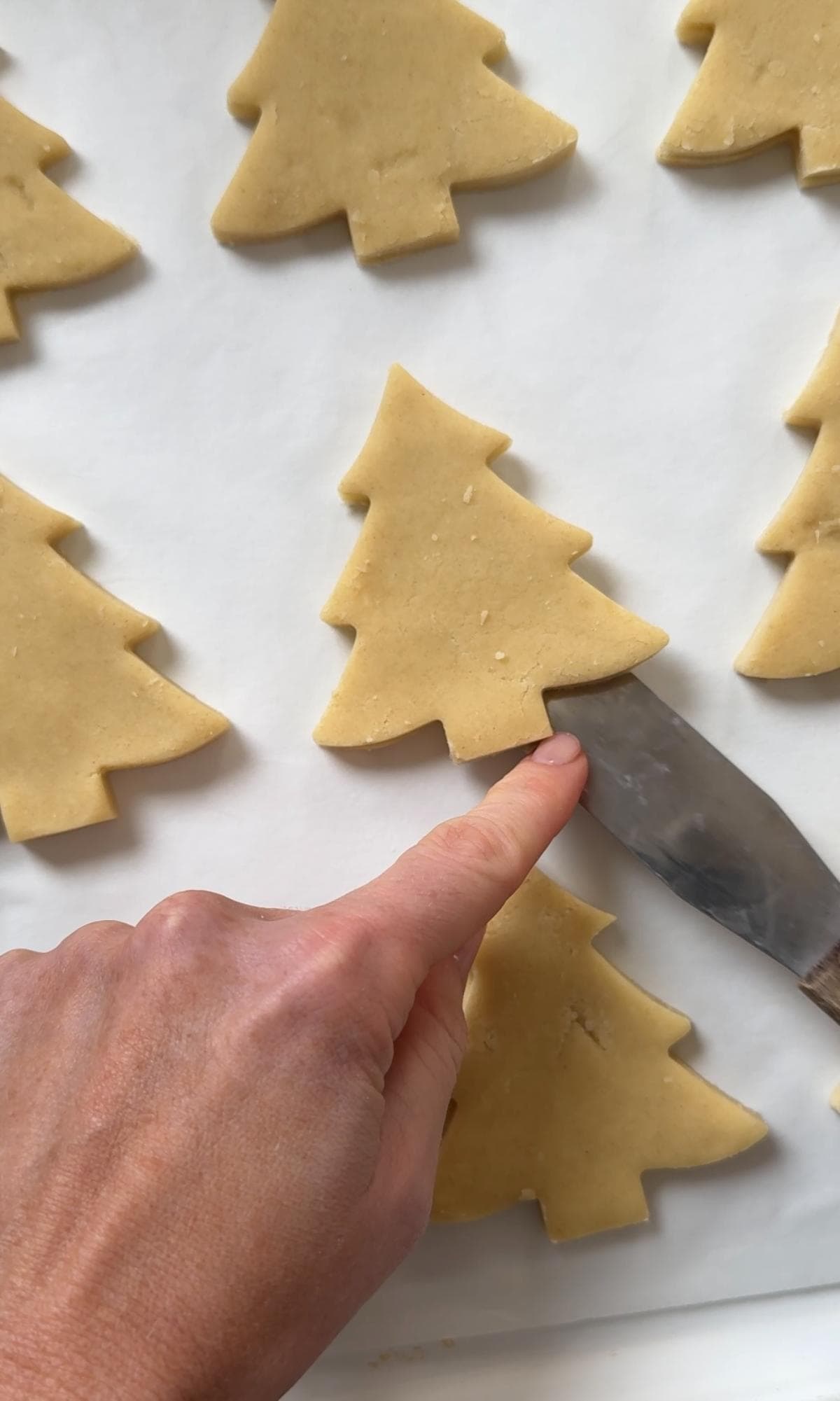 laying christmas tree cookies on a lined baking sheet.