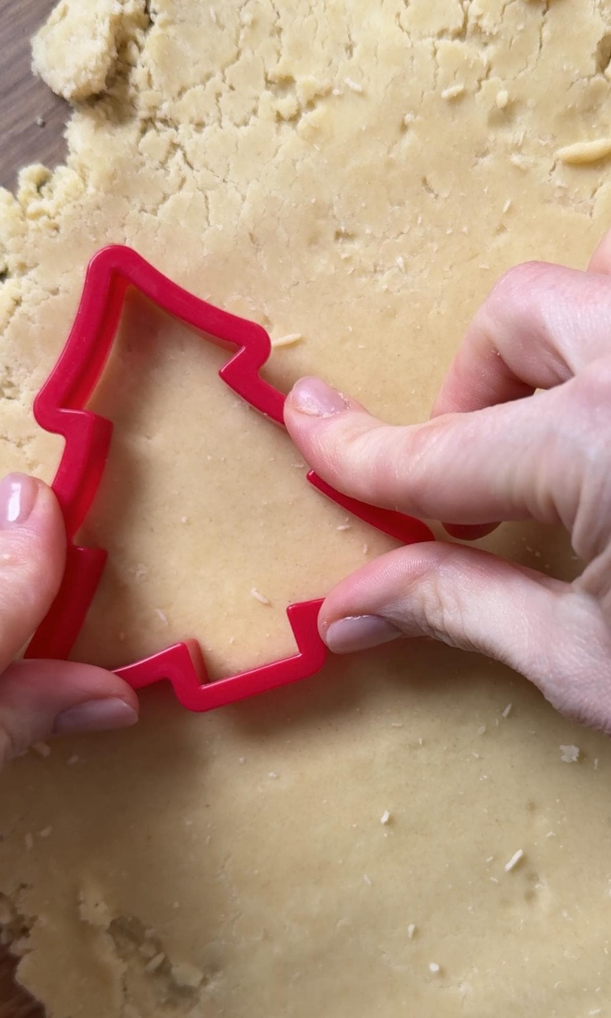 cutting out christmas tree shaped cookies.