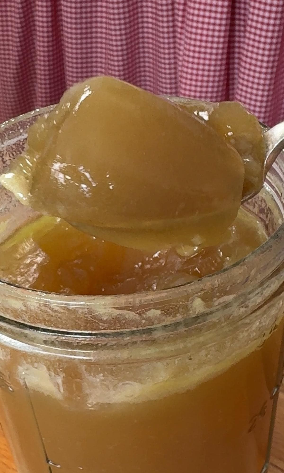 gelatinous chicken stock.